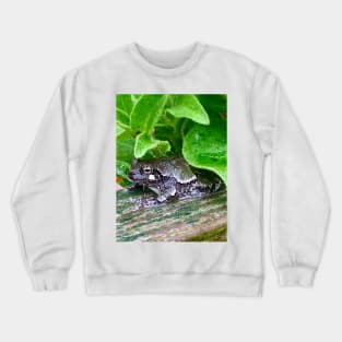 Black Tree Frog Crewneck Sweatshirt